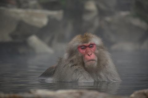 今後の健康と治病