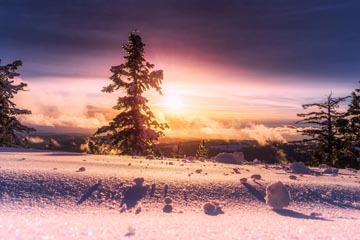 今日の運勢と世相