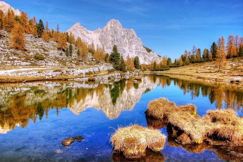 2025年の運勢と世相