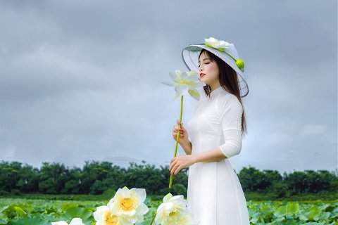 01:乾為天 上爻の図象