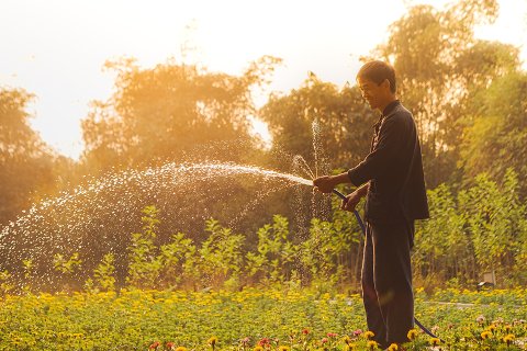 07:地水師 二爻の図象