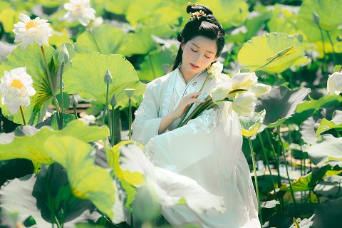 07:地水師 四爻の図象