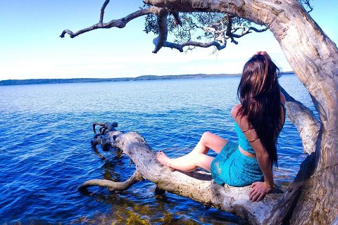 10:天沢履 三爻の図象