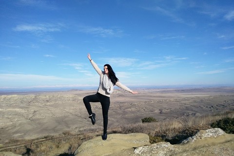 11:地天泰 二爻の図象