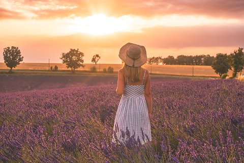 14:火天大有 初爻の図象