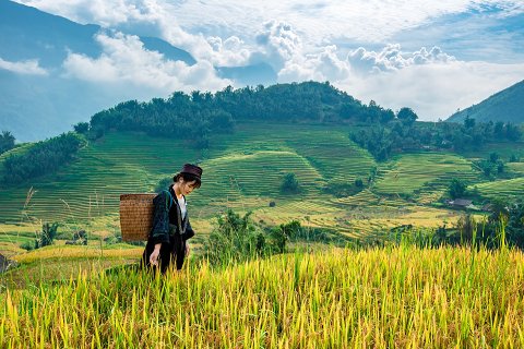 15:地山謙 三爻の図象