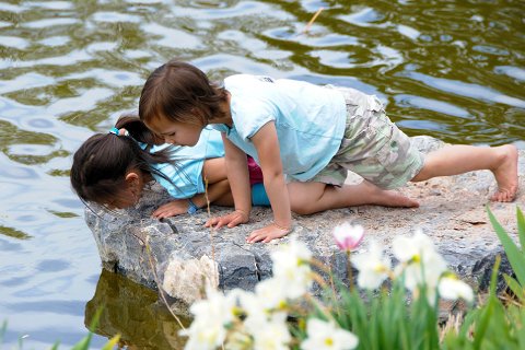 17:沢雷随 三爻の図象