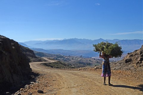 18:山風蠱 二爻の図象