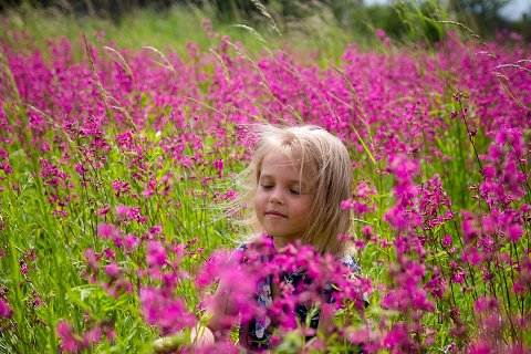 20:風地観 初爻の図象