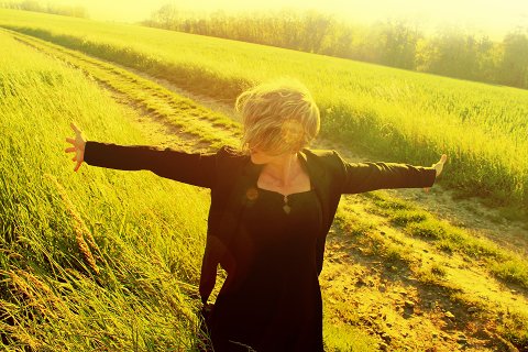 20:風地観 三爻の図象