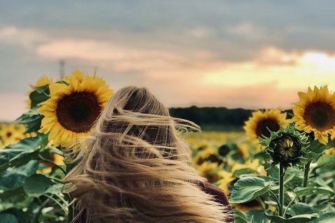 21:火雷噬嗑 三爻の図象