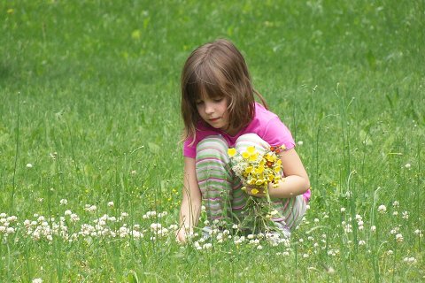 25:天雷无妄 四爻の図象