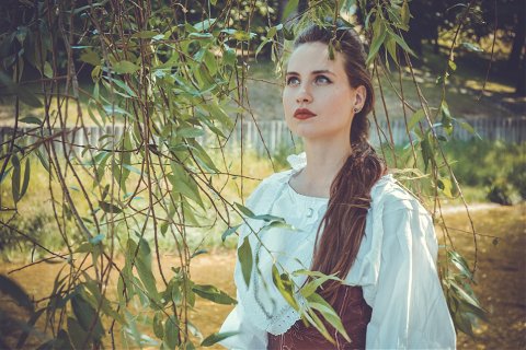 28:沢風大過 二爻の図象