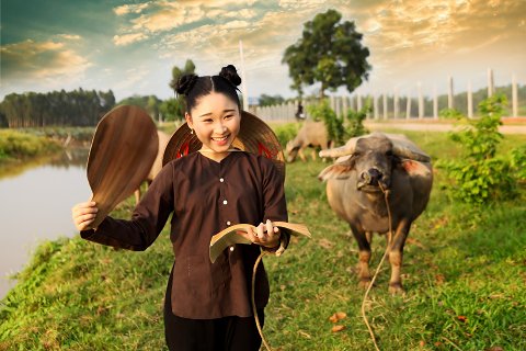 28:沢風大過 四爻の図象