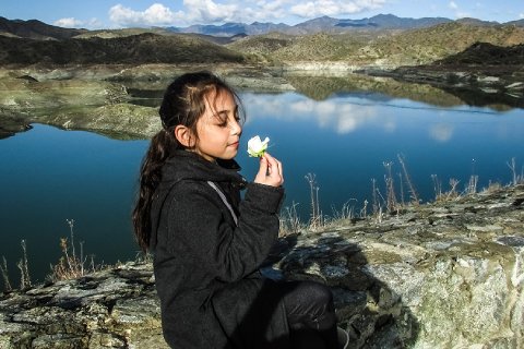 31:沢山咸 五爻の図象