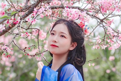 32:雷風恒 二爻の図象