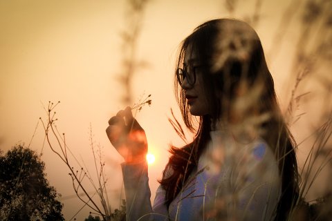 36:地火明夷 三爻の図象