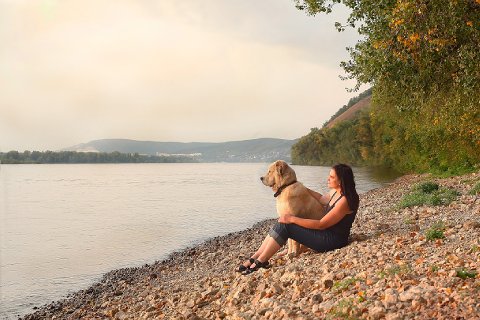 38:火沢睽 初爻の図象