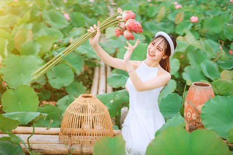 40:雷水解 二爻の図象