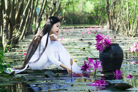 40:雷水解 三爻の図象