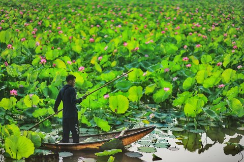 43:沢天夬 四爻の図象