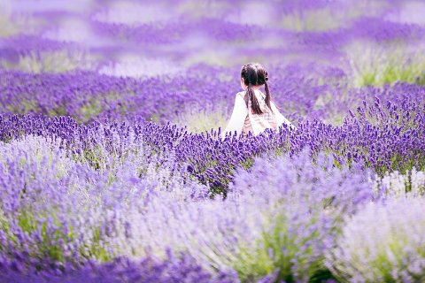 46:地風升 二爻の図象