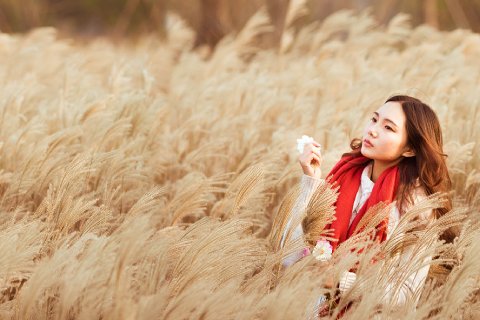 46:地風升 四爻の図象