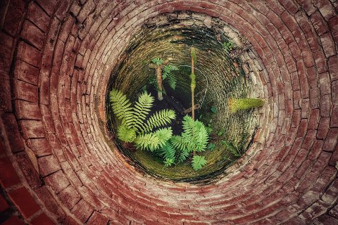 48:水風井 初爻の図象