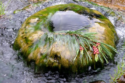 48:水風井 五爻の図象