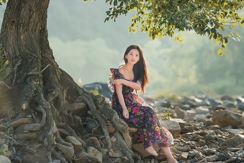 53:風山漸 四爻の図象