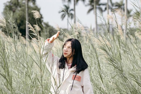 57:巽為風 初爻の図象