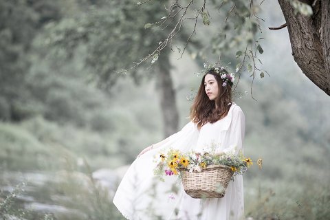 57:巽為風 四爻の図象