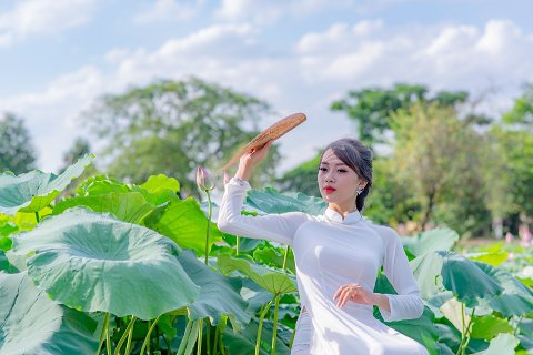 59:風水渙 上爻の図象