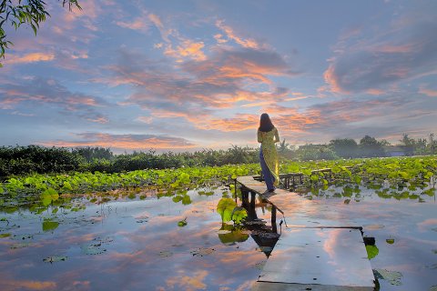 61:風沢中孚 四爻の図象