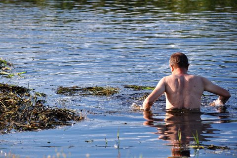 61:風沢中孚 上爻の図象