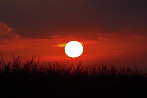 下卦(内卦) 離卦の図象