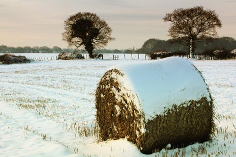 上卦(外卦) 坤卦の図象