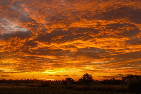 36:地火明夷の図象