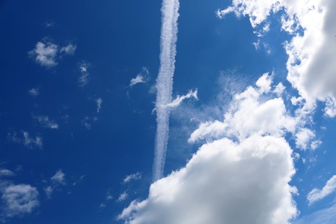 今後の出世と成功