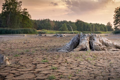 今後の主題と傾向