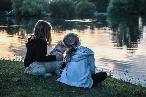 今後の健康と治病