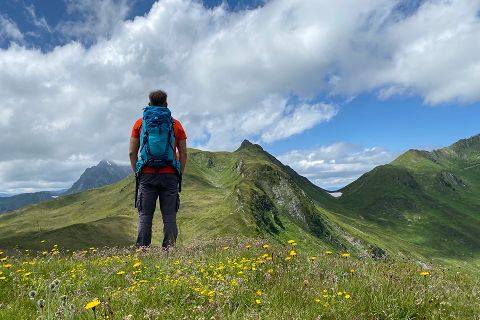 恋愛の傾向と対策